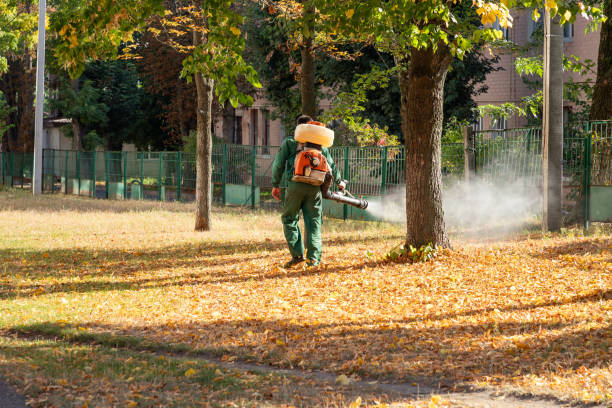 Best Affordable Pest Control Services  in Trenton, OH