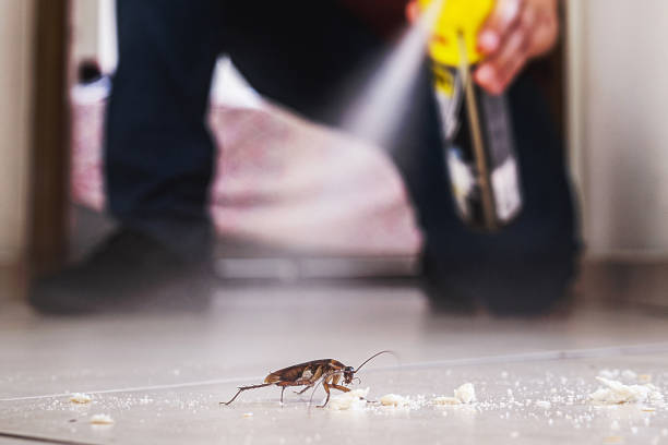 Best Pest Inspection Near Me  in Trenton, OH